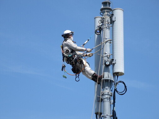 写真：現場作業のようす