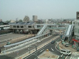 写真：中央の中島部分