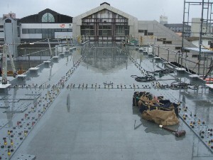 写真：両端の四角のプレート