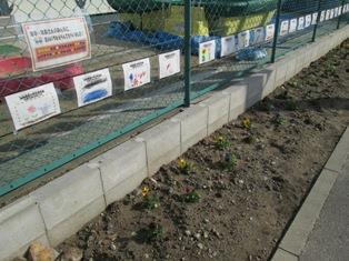 写真：植替え後1