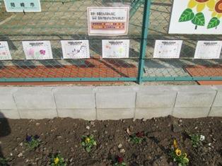 写真：園児がシールを貼ったとおりに植えました！