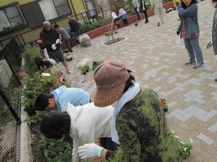 写真：平成26年11月作業風景1