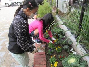 写真：平成26年11月作業風景2