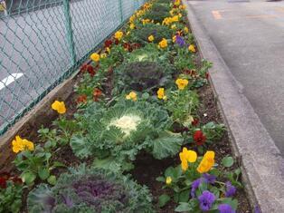 写真：平成26年11月作業結果