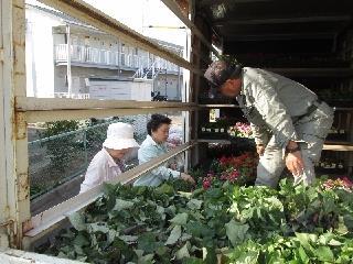 写真：平成27年5月花の植替え活動2