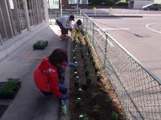 写真：平成27年5月花の植替え活動3