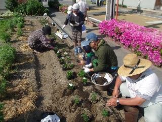 写真：平成27年5月花の植替え活動4
