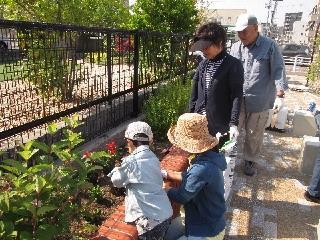 写真：平成27年5月花の植替え活動5