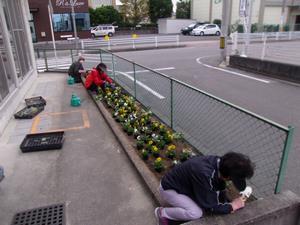 写真：平成27年11月花の植替え活動1