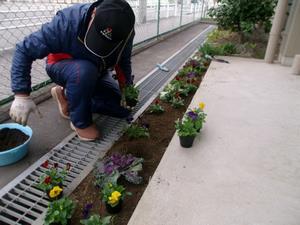 写真：平成27年11月花の植替え活動3
