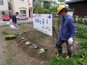 写真：平成27年11月花の植替え活動4