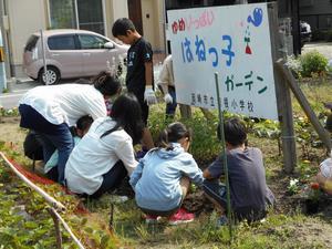 写真：平成28年5月花の植替え活動1