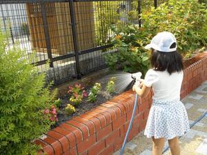 写真：平成28年5月花の植替え活動3