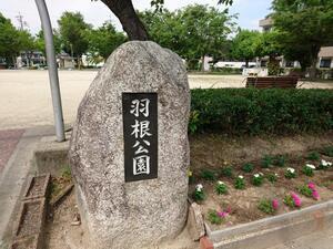 写真：平成28年5月花の植替え活動4