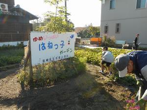 写真：平成28年11月花の植替え活動3