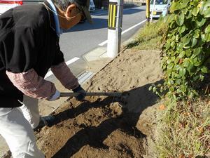 写真：平成28年11月花の植替え活動5