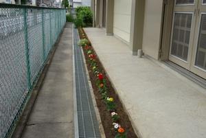 写真：平成29年5月花の植替え活動5