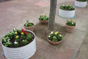 写真：平成29年5月花の植替え活動6