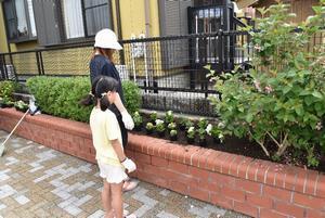 写真：平成29年5月花の植替え活動3