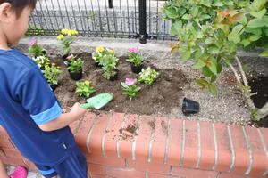 写真：平成30年5月花の植替え活動2