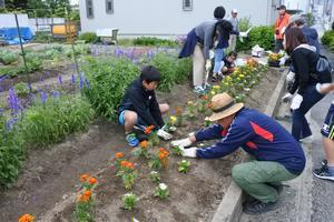写真：平成30年5月花の植替え活動4