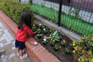 写真：平成30年11月花の植替え活動1