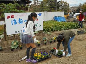 写真：平成30年11月花の植替え活動5