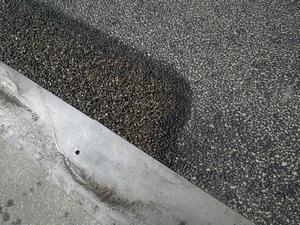 写真：洗い出し2