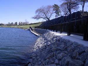 写真：北東街区前船着場完了