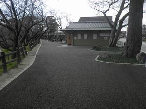 写真：右岸完了1