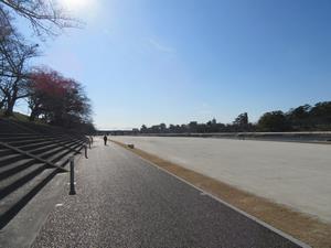 写真：左岸完了1