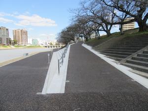 写真：左岸完了2