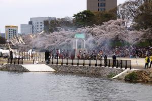 写真：現場全景（4月9日）1