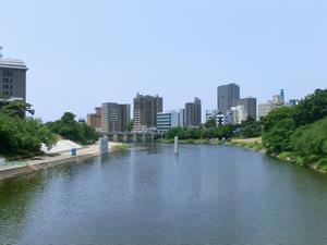 写真：現場全景（5月29日）2