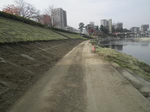 写真：堆積土撤去状況