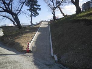 写真：坂路路盤