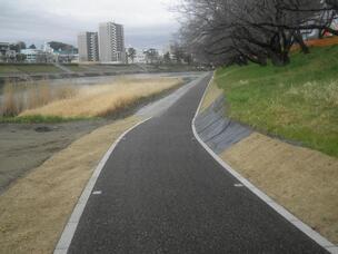 写真：舗装状況3
