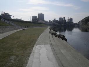 写真：完成状況1