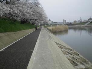 写真：完成状況2