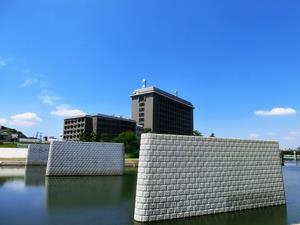 写真：現場全景（6月4日）1