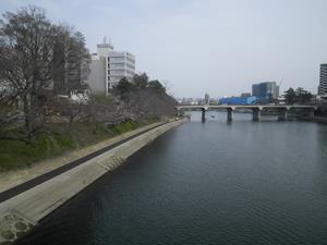 写真：桜城橋（サクラノシロバシ）と乙川の桜