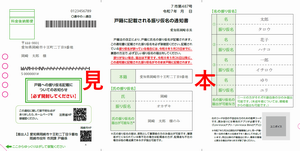 写真：通知書見本