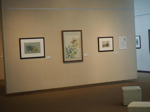 写真：巨匠たちの十代－5