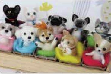 写真：いぬねこ