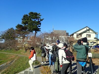 写真：乙川での鳥類の観察の様子