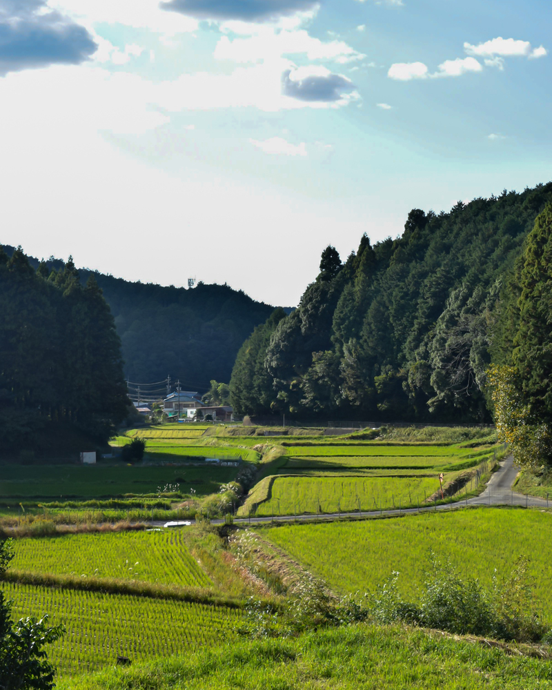 オクオカの風景の写真