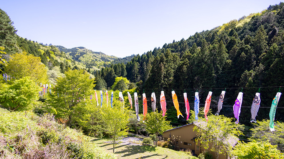 鯉のぼりの写真