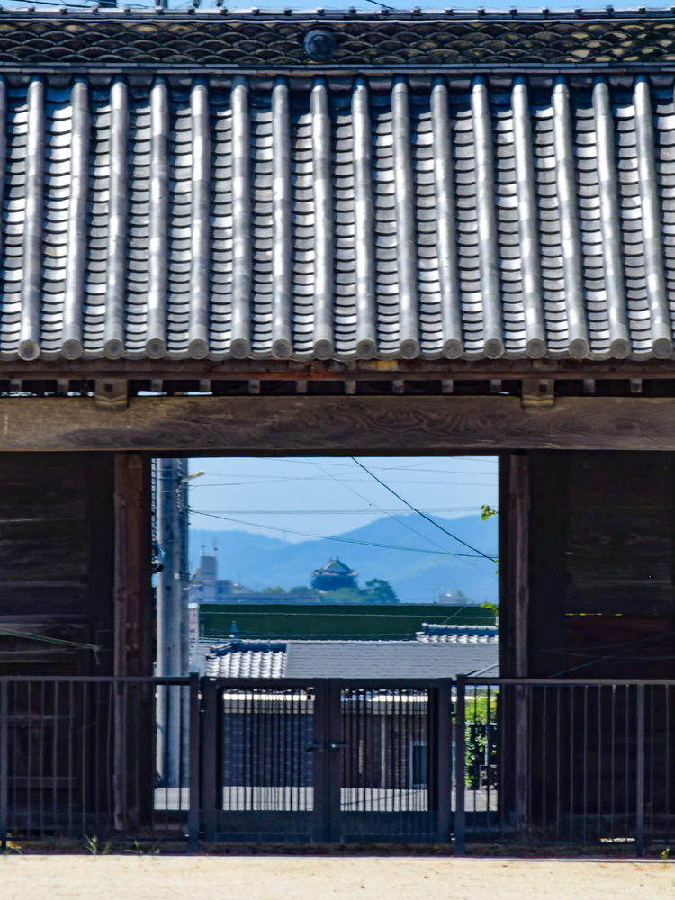 ビスタラインの写真