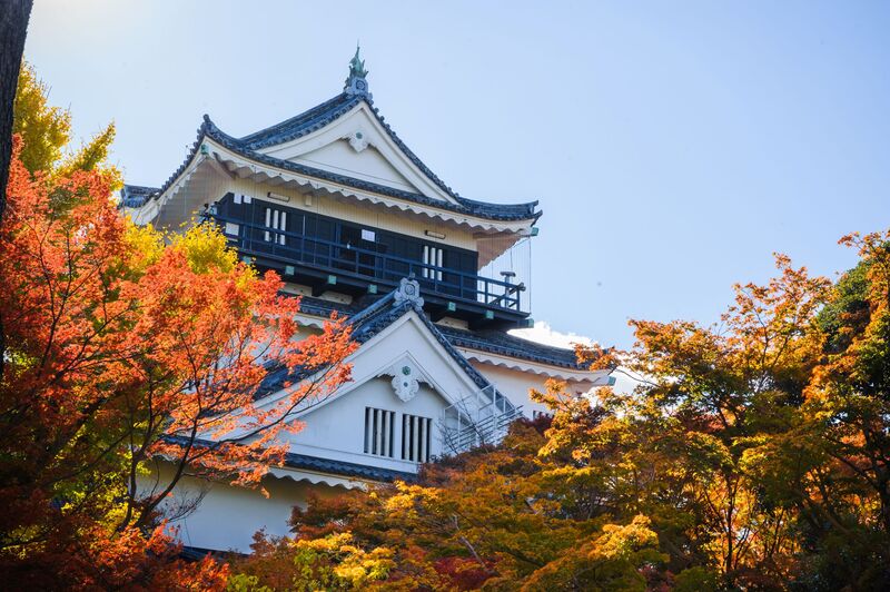 岡崎城と紅葉の写真