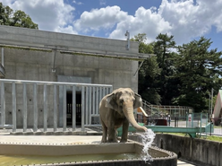 水で遊ぶふじ子の画像